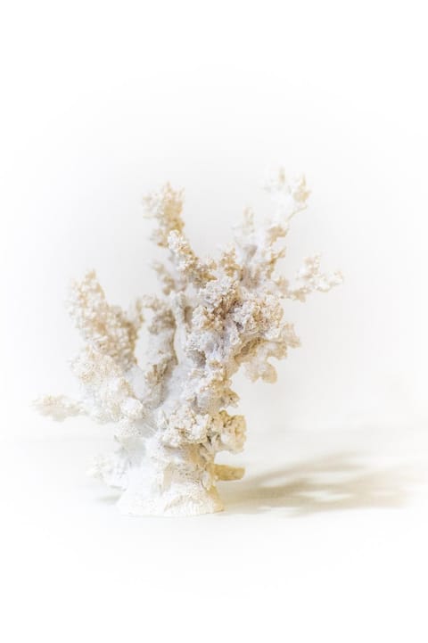 MarBianco B&B Bed and Breakfast in Marina di Carrara