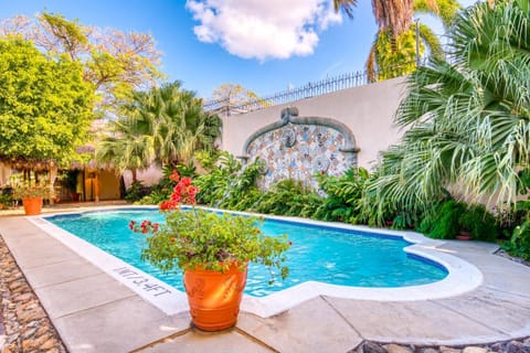Spring, Day, Natural landscape, Garden, Garden view, Pool view, Swimming pool, Swimming pool, sunbed