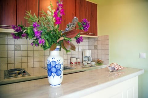 Vikentios Rooms Apartment in Islands