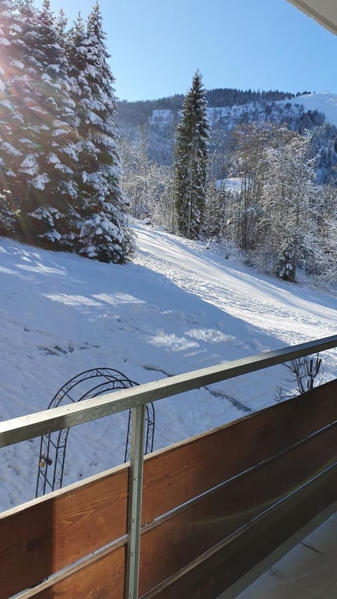 Day, Winter, Mountain view