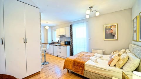 Bed, Kitchen or kitchenette, wardrobe