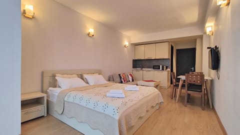 Bed, TV and multimedia, Kitchen or kitchenette, Photo of the whole room, Seating area, Dining area, Bedroom