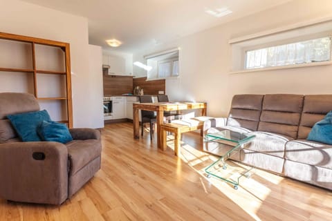 Living room, kitchen