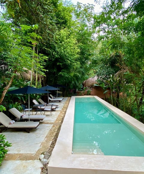 Natural landscape, Garden view, Swimming pool, sunbed