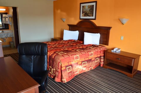 Living room, Photo of the whole room, Decorative detail, Bedroom