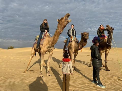 Day, People, Natural landscape, group of guests