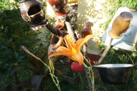 Garden, Decorative detail, Garden view