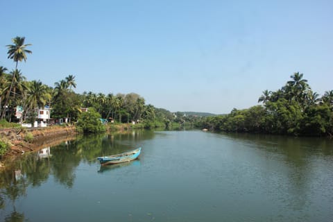 Natural landscape, River view