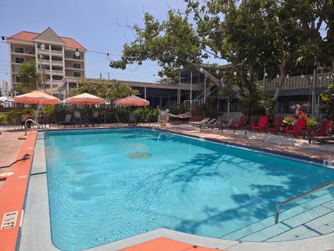 Day, Pool view, Swimming pool, sunbed