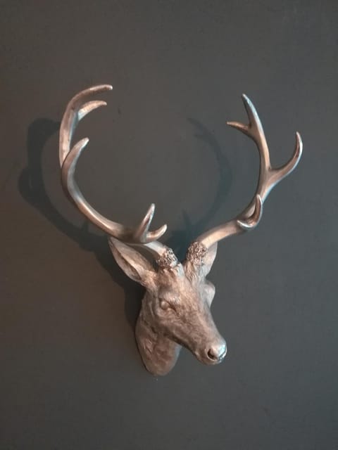 Am Wasserfall 31 Apartment in Bad Hofgastein