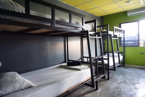 bunk bed