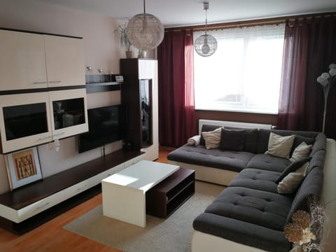 Day, TV and multimedia, Living room, Photo of the whole room, Decorative detail, Seating area
