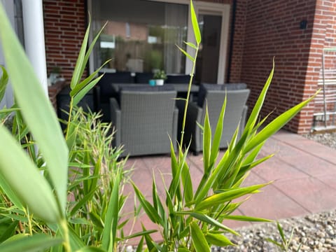 Patio, Garden