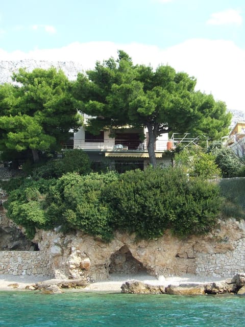 Area and facilities