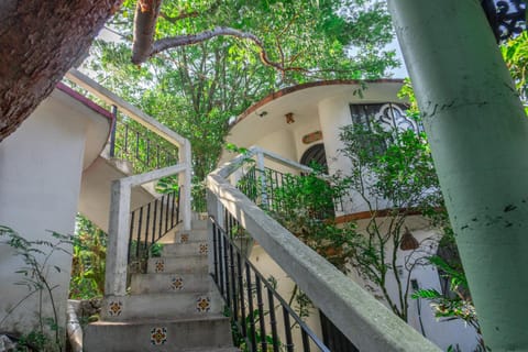 Property building, Garden, Garden view