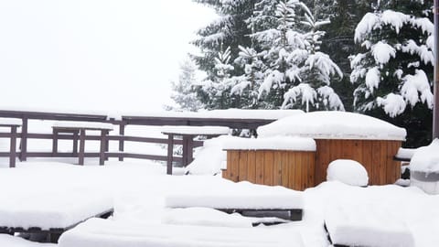 Cabana "Trei Brazi " Retezat Nature lodge in Serbia
