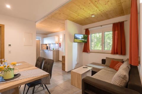 TV and multimedia, Kitchen or kitchenette, Living room, Seating area, Dining area