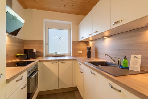 Kitchen or kitchenette, dishwasher, oven, stove