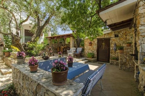 Patio, Garden, Garden view