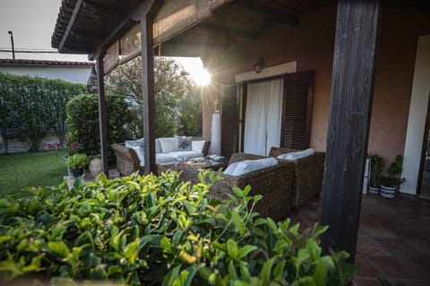 Patio, Garden, Seating area