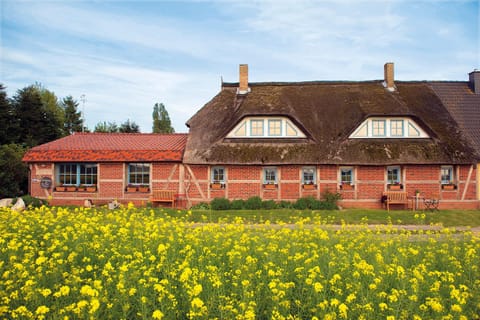 Property building, Spring, Day, Summer, Street view, Quiet street view