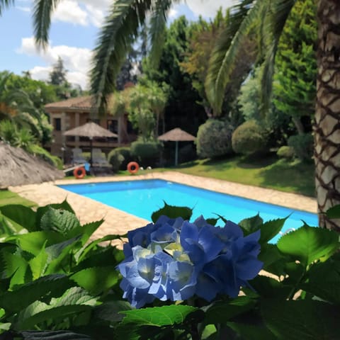 Garden, Garden view, Swimming pool