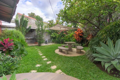 Day, Garden, Garden view