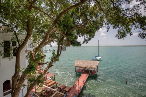 Lake view