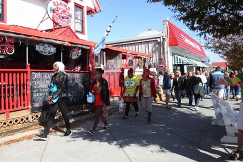 216 New Castle St. House in Rehoboth Beach