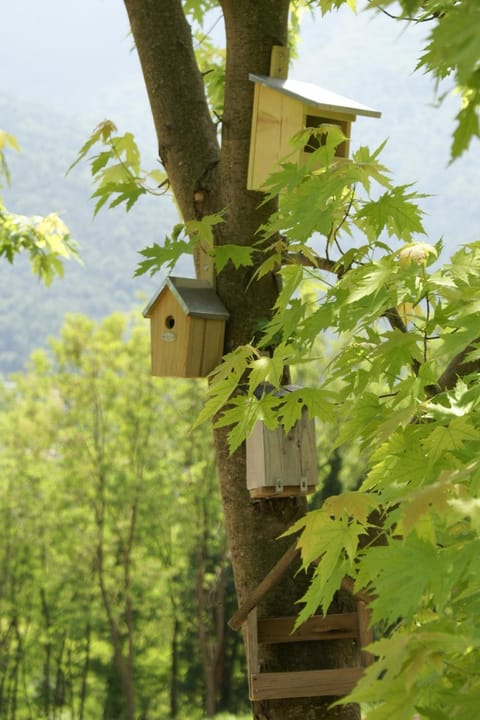 Coste del Gaggio - Country House B&B - Garda Trentino Bed and Breakfast in Trentino-South Tyrol