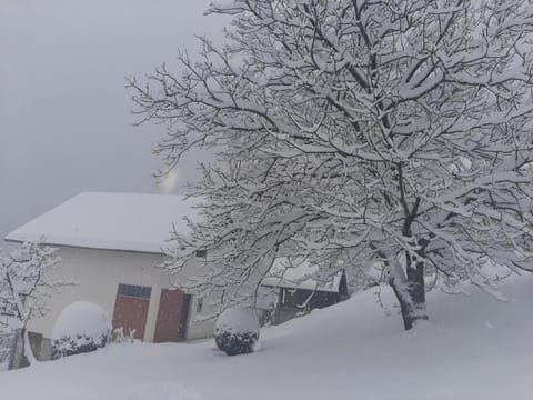 Natural landscape, Winter