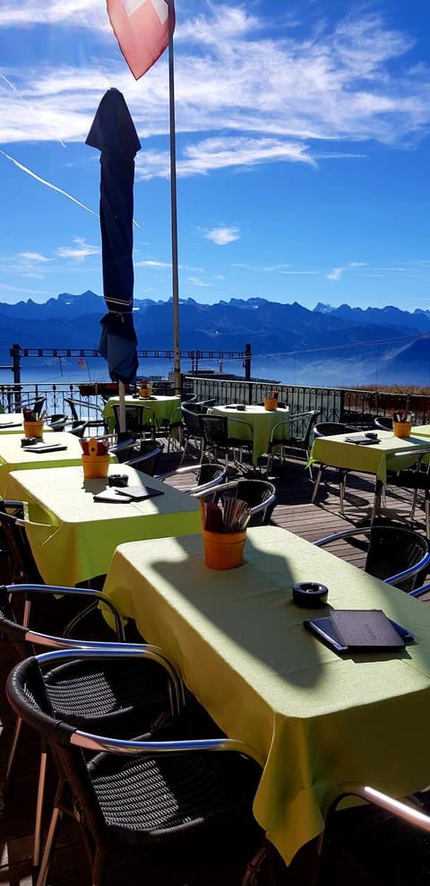 Restaurant/places to eat, Balcony/Terrace, Food, Drinks, Alcoholic drinks, Non alcoholic drinks