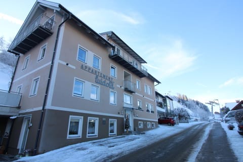Apartments Luidold Apartment in Schladming