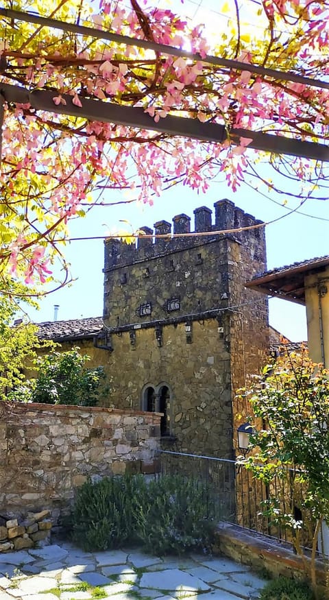 Patio, Garden