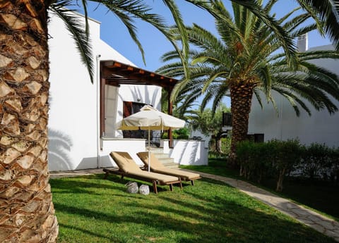 Garden, Balcony/Terrace