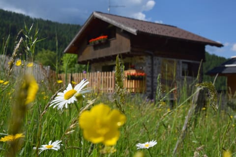 Property building, Spring