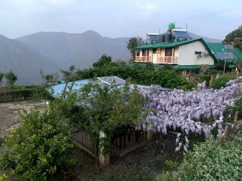 Property view