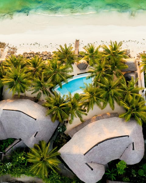 Bird's eye view, Beach, Beach, Swimming pool