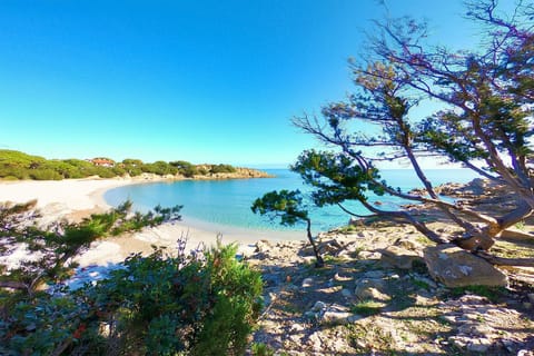 Natural landscape, Beach