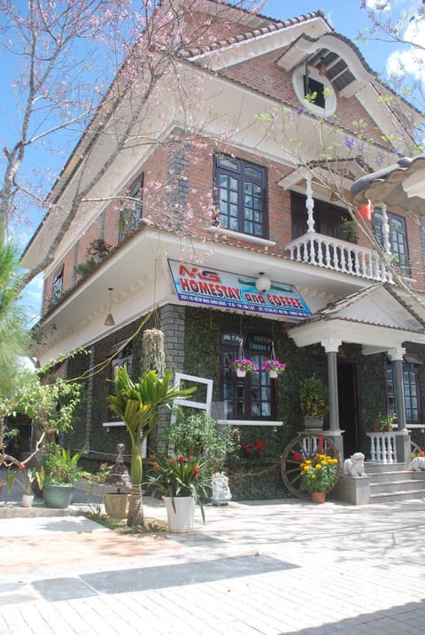 Property building, Day