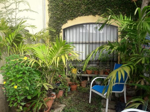 Property building, Garden