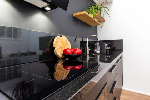 Design City Center Family double floor apartment studio Delft C38 Apartment in Delft