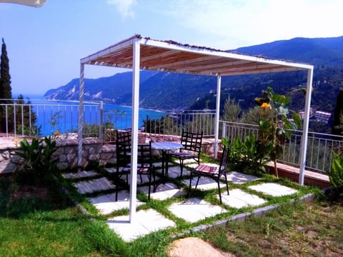 Patio, Garden
