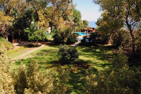 Garden, Pool view, Swimming pool