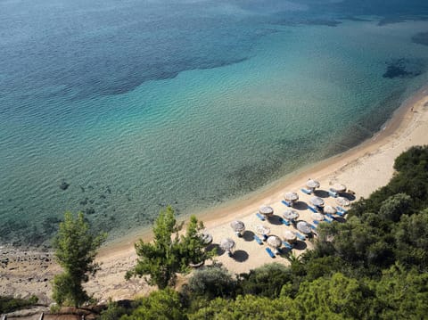 Spring, Winter, Summer, Beach, Autumn