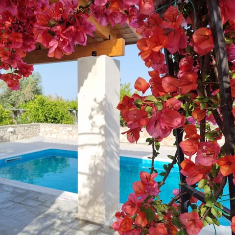 Garden view, Pool view, Swimming pool