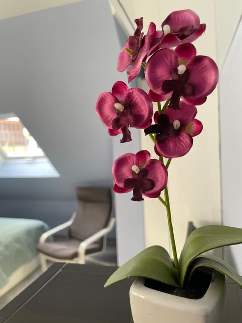 Deluxe Apartment Apartment in Wiesbaden