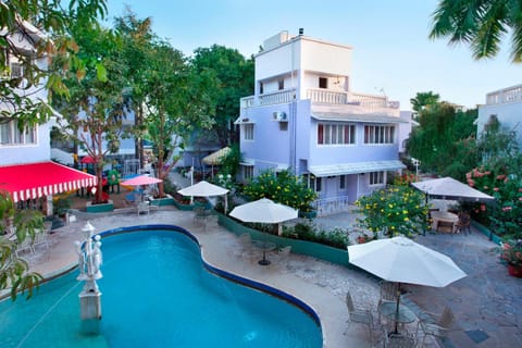 Bird's eye view, Swimming pool