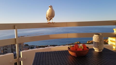 Balcony/Terrace, Sea view, Sunset