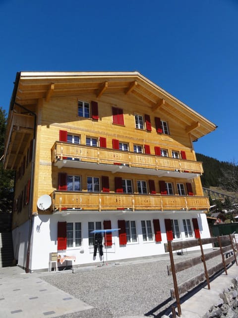Chalet Schönbühl Apartment in Murren